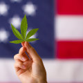 Understanding Hemp and CBD Laws