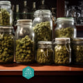 Exploring Popular Strains: A Comprehensive Guide to Cannabis Dispensaries