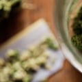 The Best Uses of Cannabis Dispensaries: A Comprehensive Guide