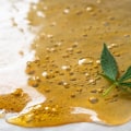 All You Need to Know About Concentrates