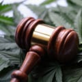 Understanding City/County Regulations for Cannabis Dispensaries