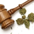 Understanding Medical vs. Recreational Cannabis Laws