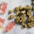 All You Need to Know About Edibles