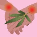 Understanding Chronic Pain and Medical Marijuana