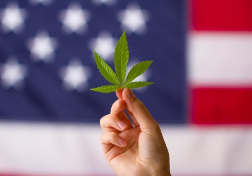 Understanding Hemp and CBD Laws