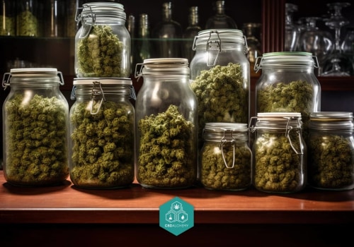 Exploring Popular Strains: A Comprehensive Guide to Cannabis Dispensaries