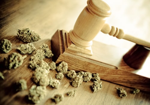 Understanding the Legalization Status of Cannabis Dispensaries