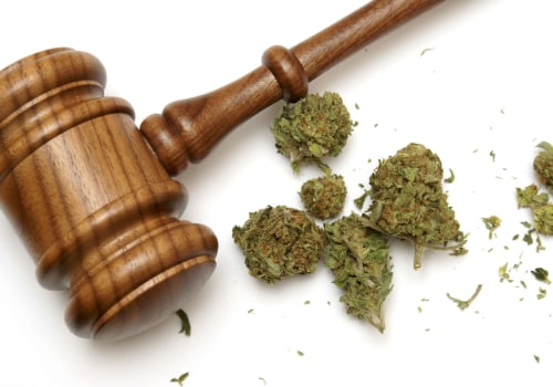 Understanding Medical vs. Recreational Cannabis Laws