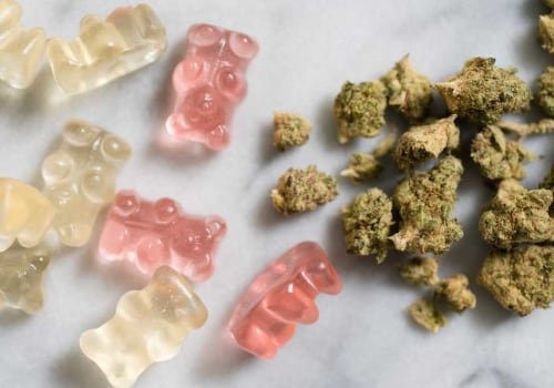 All You Need to Know About Edibles