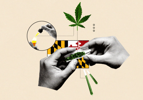 All You Need to Know About Medical Marijuana Cards